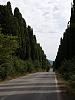 comp Toscana 2011 413