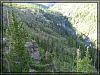 Yellowstone