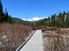 RMNP