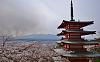 J Fuji Chureito Pagoda 02