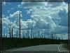 Yellowstone