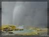 Yellowstone
