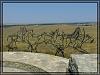 Little Bighorn Battlefield