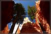 USA 2009 Bryce Canyon / UT