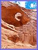 824 Pinetree Arch 01