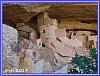 826 Cliff Palace 06