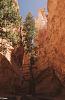 0048 Bryce Canyon