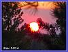 830 SUnset 01