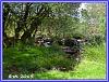 Dartmoor Trail 05
