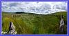 Dartmoor Trail 15