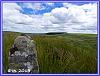 Dartmoor Trail 16