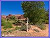 831 Supai 04