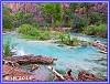 901 Havasu Creek 02