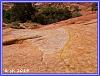 907 Trail 17