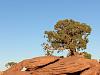 Arches NP3