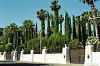 Jungle Palace von Siegfried & Roy