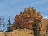 IMG 4772