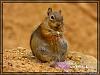 Bryce Canyon