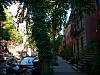 New York 186