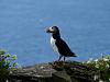 Irland 0547