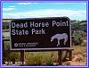 812 Dead Horse Sign Internet