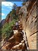 Angels Landing - Zion NP