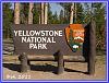 817 Yellowstone Sign Internet