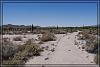 Desert 0182