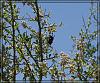 Desert 0189