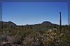 Desert 0198