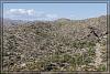 Desert 0246