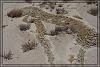 Desert 0560