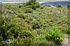 Desert 0744