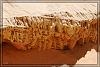 Desert 0932