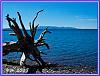 822 Yellowstone Lake 3 Internet