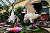 0607 BellagioBlumen 03