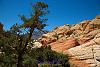 0608 RedRockCanyon 13
