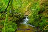 0819 FairyGlenFalls 04