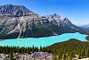 220818 PeytoLake 01