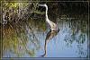 Florida20 0054
