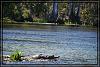 Florida20 0269