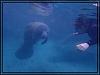 Florida20 0303