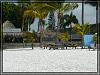 Florida20 0404