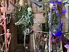 IMG 4217