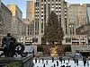 IMG 1631