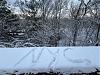 IMG 1852