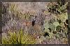 Texas 0343