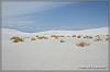USA 2012 White Sands NM / NM