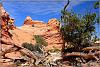 USA 2009 Coyote Buttes South / AZ